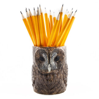 Quail Ceramics Tawny Owl Pencil Pot